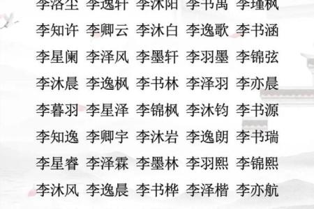 李姓男孩名字大全-李姓男孩起名字大全-李姓名字大全姓名