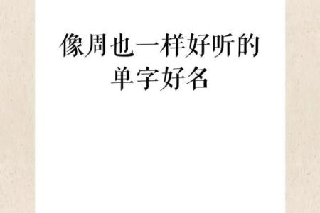 下午出生属兔的男孩应该怎么样取名字呢？姓名