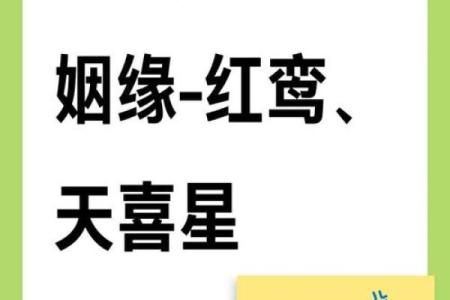 能嫁有钱老公的紫微斗数女 嫁好老公的紫微命格？