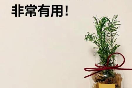 怎样凭借风水来增加自己的财运