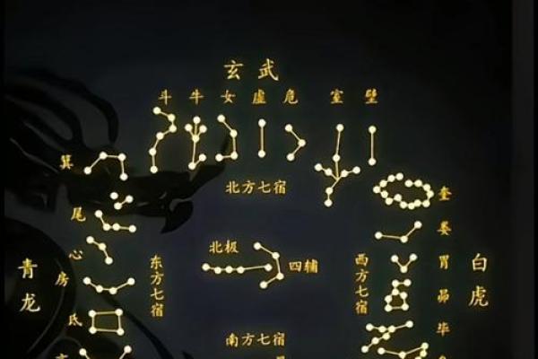 紫微斗数之流星的看法，流年岁前十二神吉凶断：官符