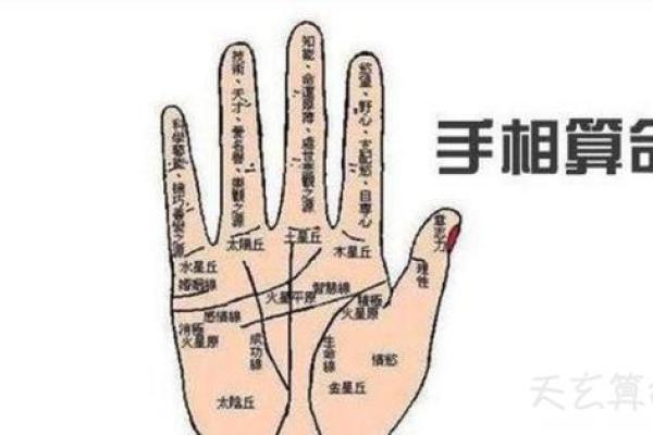 免费拍照看手相算命 免费拍照看手相算命