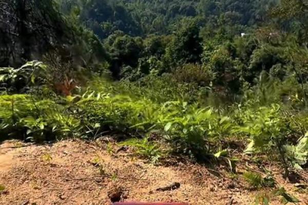 13的风水 13的风水