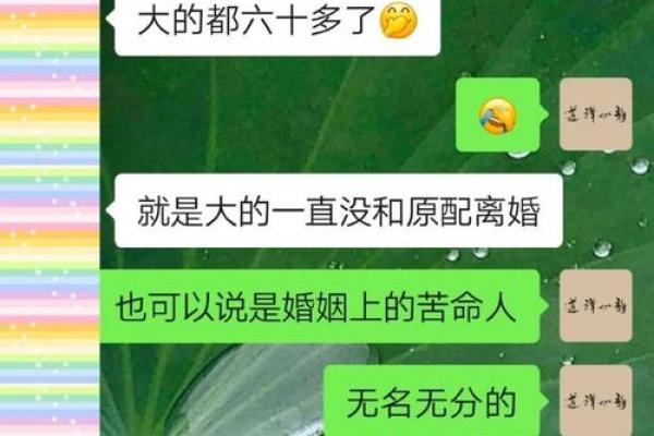 算命婚姻gl 算命婚姻gl