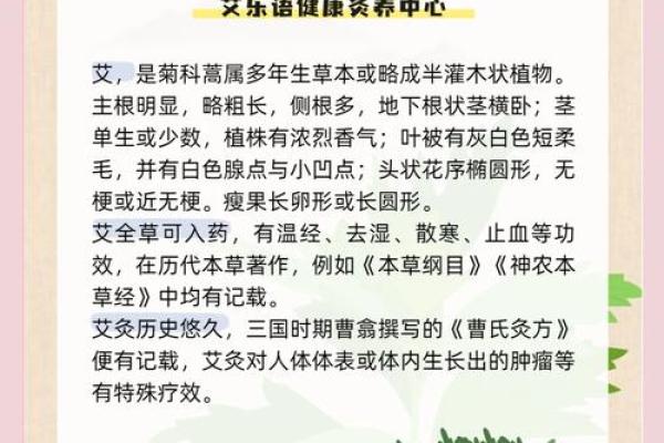 为什么艾草不能送人有什么风水说法