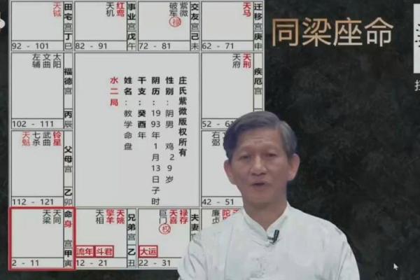 南北派紫薇斗数