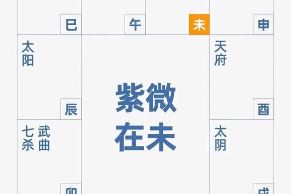 墨斗天机紫薇斗数