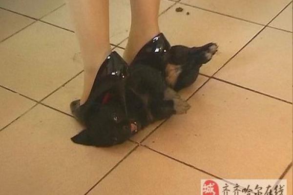 穿高跟鞋要注意什么样的风水禁忌? 穿高跟鞋要注意什么样的风水禁忌?