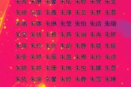 2019年出生的姓朱男孩如何起名，宜用什么字姓名