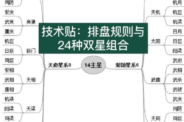 紫薇斗数阴阳相背 紫薇斗数阴阳相背