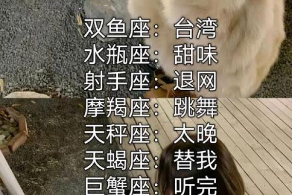 哪个星座打架能力最强