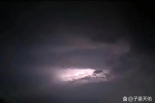 算命人说我是蛟龙  蛟龙命好吗