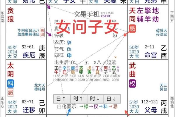 手机紫薇斗数app 手机紫薇斗数app