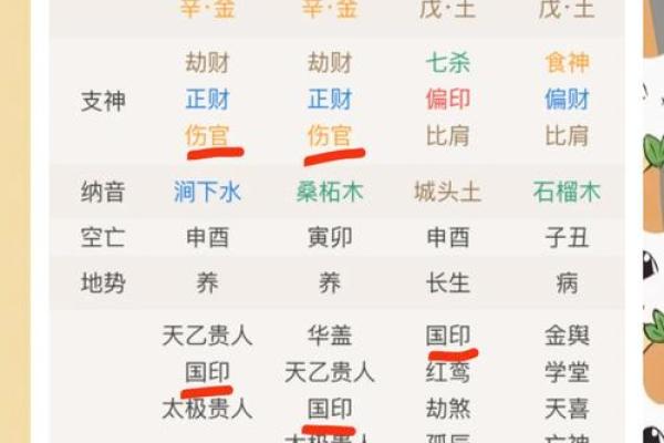 父母生辰八字如何测算？详细教程分享