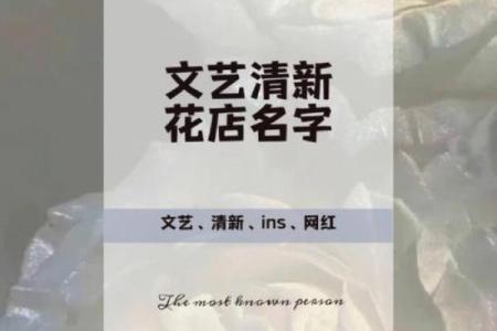 花店名字大全-名字大全-姓名学-华易算命网姓名