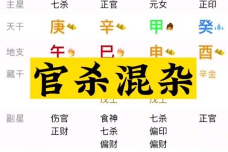 八字有五个财星