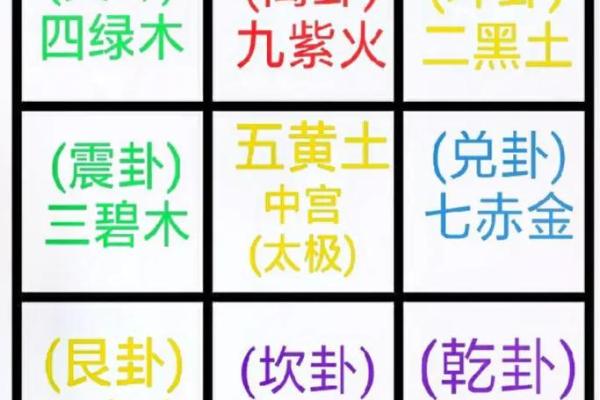 九星命理算命视频