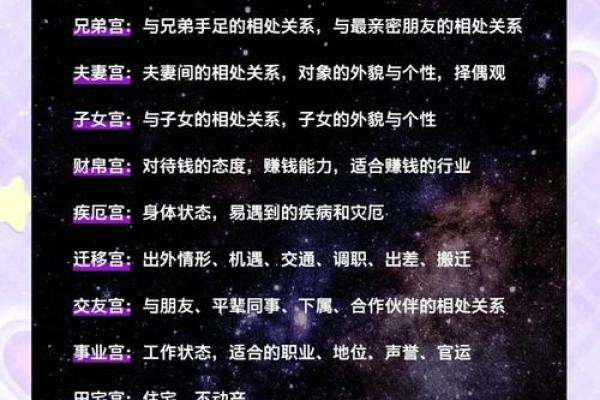 紫薇斗数命主什么意思