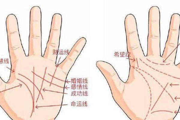 看相算命大全图解婚姻 看相算命大全图解婚姻