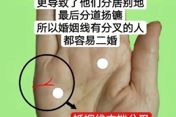 看相算命大全图解婚姻 看相算命大全图解婚姻