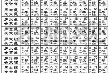 九星命理算命视频