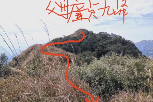 好的风水墓地 好的风水墓地