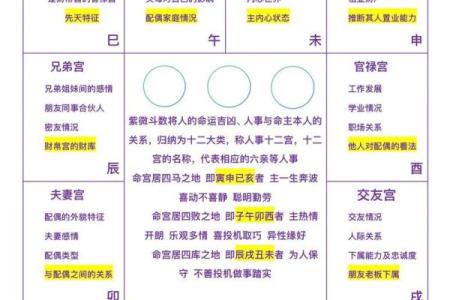 紫薇斗数大运命宫