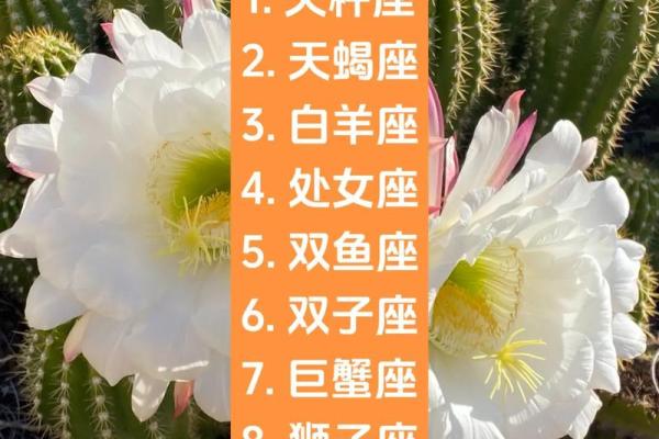 女人嫁哪个星座最好呢