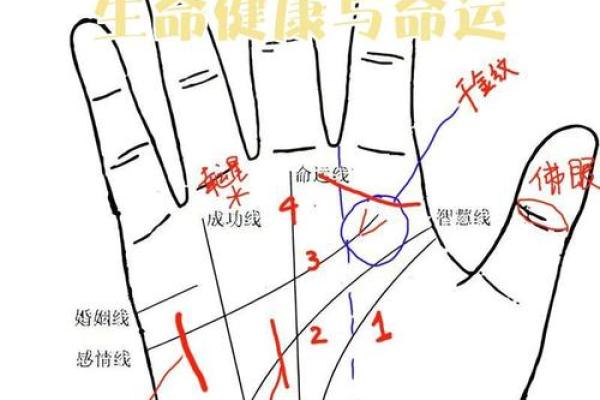 手相风水:命运线中间断开象征什么意义 手相风水:命运线中间断开象征什么意义
