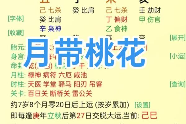 八字看配偶长相查询免费,八字配偶宫看配偶的能力和相貌