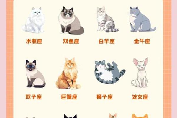 星座生肖大全,了解12星座和生肖的区别 星座生肖大全,了解12星座和生肖的区别