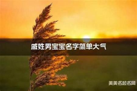戚姓男孩名字大全-戚姓男孩起名字大全-戚姓名字大全姓名