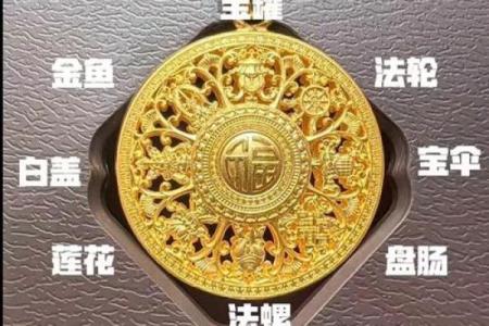 八字排盘宝免费版