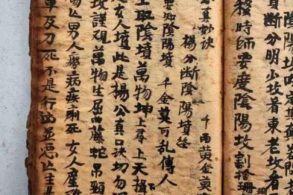 风水格局_介绍一些古墓书籍 风水格局_介绍一些古墓书籍