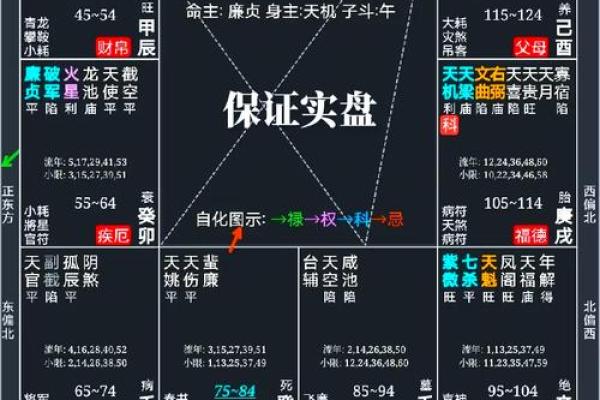 紫微斗数诸星落诸宫之：太阳星官禄宫详解
