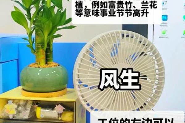 办公室风水,坐什么方位旺自己 办公室风水,坐什么方位旺自己