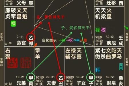 紫薇斗数怎么手动排盘