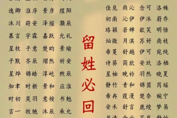 给凌晨2点出生的属鼠男孩取名字要用什么字姓名 给凌晨2点出生的属鼠男孩取名字要用什么字姓名