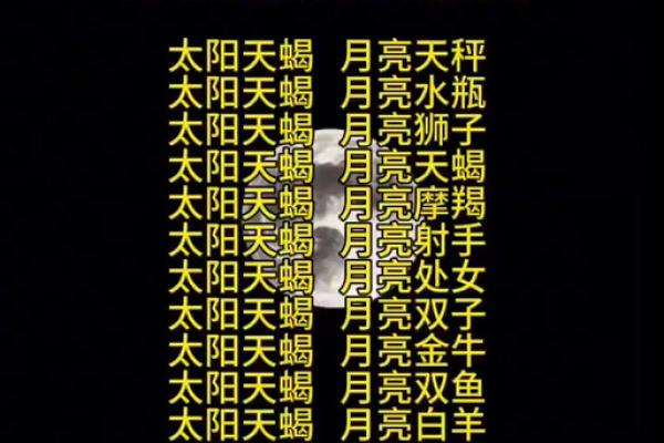 摩羯座的星座石是什么石头?狮子座的月亮星座是什么 摩羯座的星座石是什么石头?狮子座的月亮星座是什么