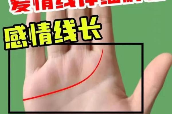 手相风水：爱情线怎么看有几段感情