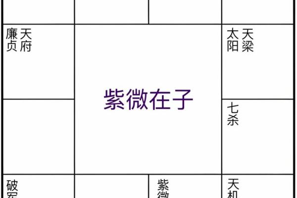 鬼谷子紫薇斗数