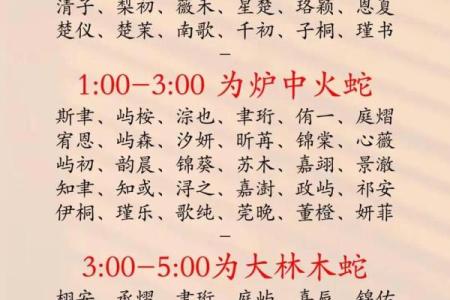 2019年5月13号卯时出生的男孩应该起什么样的名字姓名