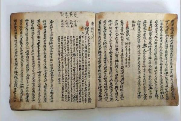 数术类古籍 飞星紫微斗数