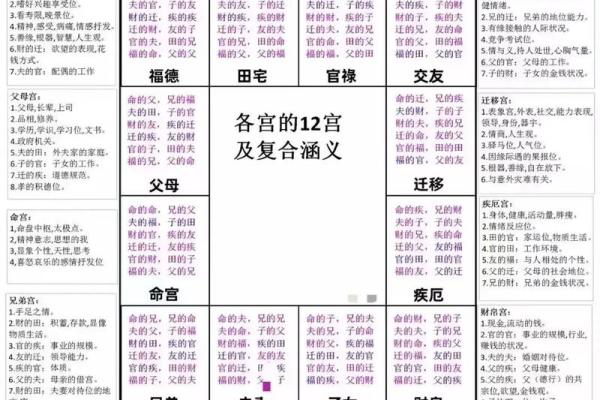紫薇斗数忌星入十二宫 紫薇斗数忌星入十二宫