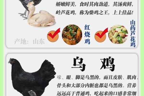 铜公鸡在风水的作用 铜公鸡在风水的作用阴宅