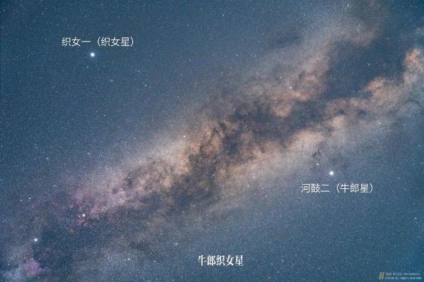 牛郎星是属于什么星座