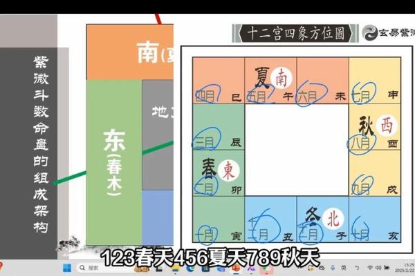 雪天紫薇斗数排盘软件 雪天紫薇斗数排盘软件