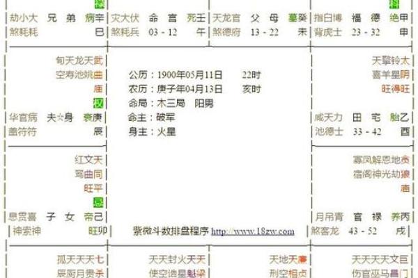 雪天紫薇斗数排盘软件 雪天紫薇斗数排盘软件