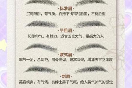 男人眉毛看相算命