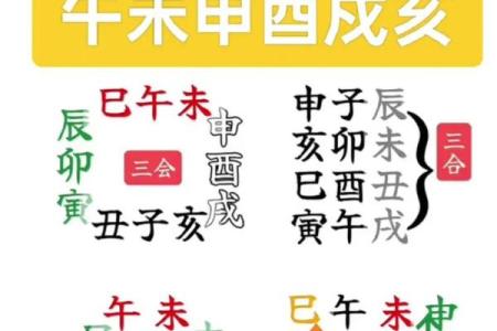 八字解析之-----地支三合三会